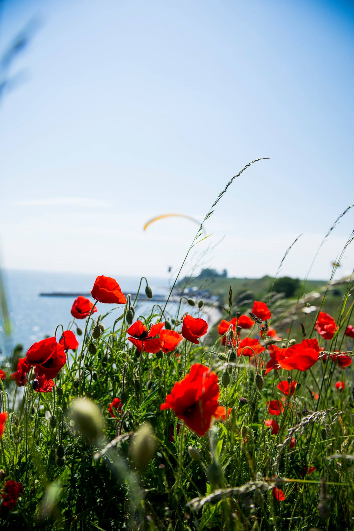 Årets sommarläger är för dig som vill ta studentbehörighet för att börja flyga skärm och är mellan 15-20 år.